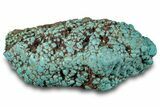 Polished Turquoise Specimen - Number Mine, Carlin, NV #260493-1